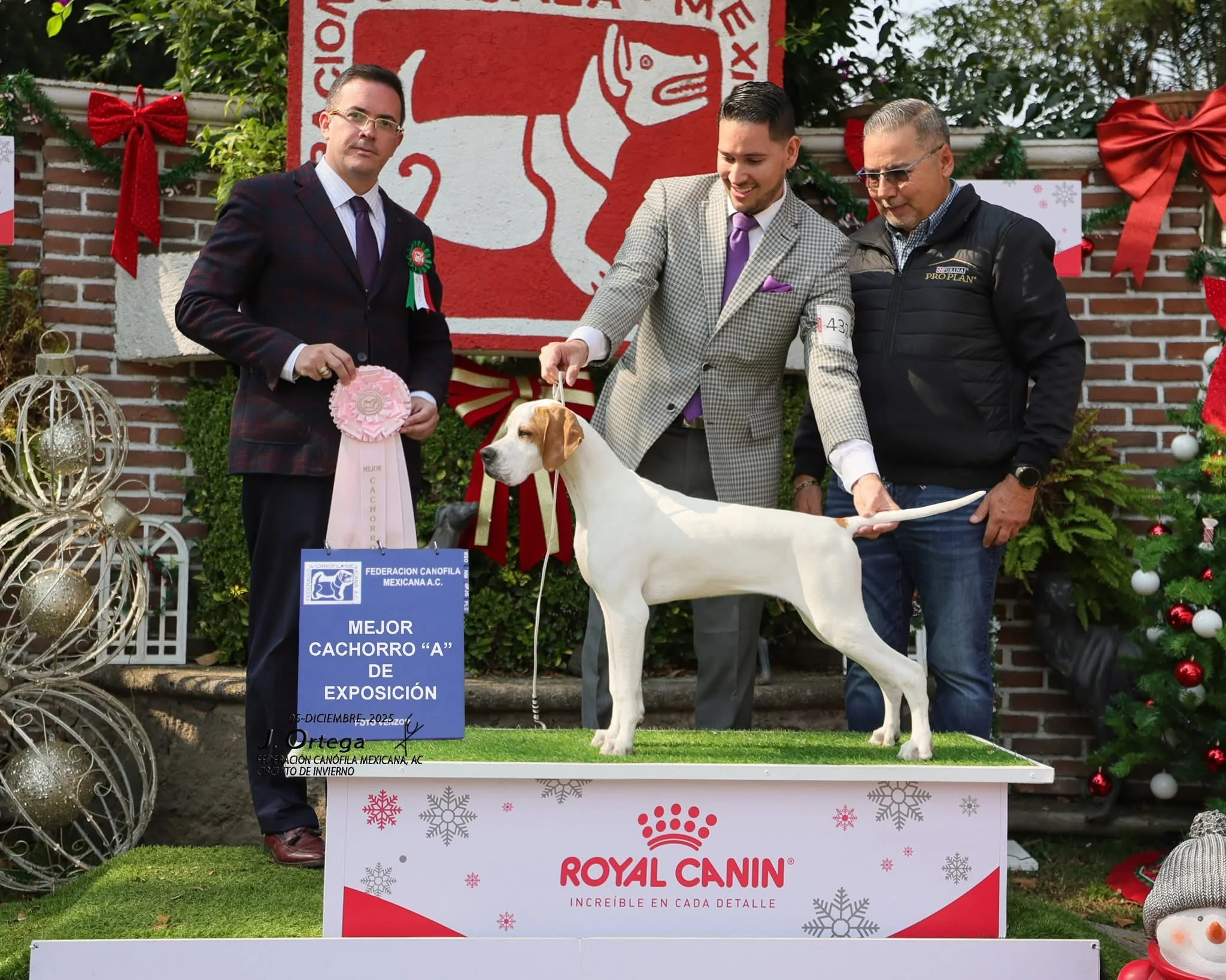 Blai Llobet at a dog show in Mexico