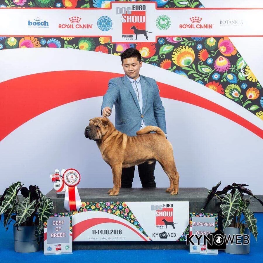 European Dog Show 2018 · archive photograph